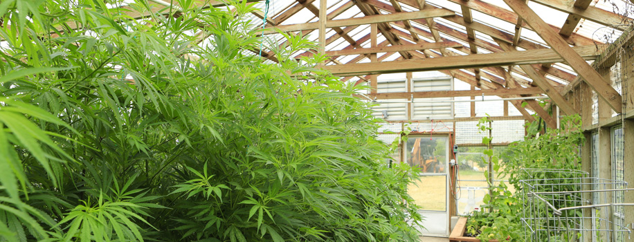 Security Solutions for Apartments in Ellijay, GA